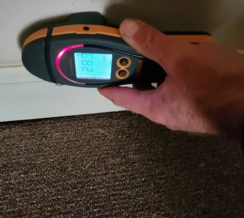 Moisture detection at baseboard during Mold Inspection & Testing in Airway Heights